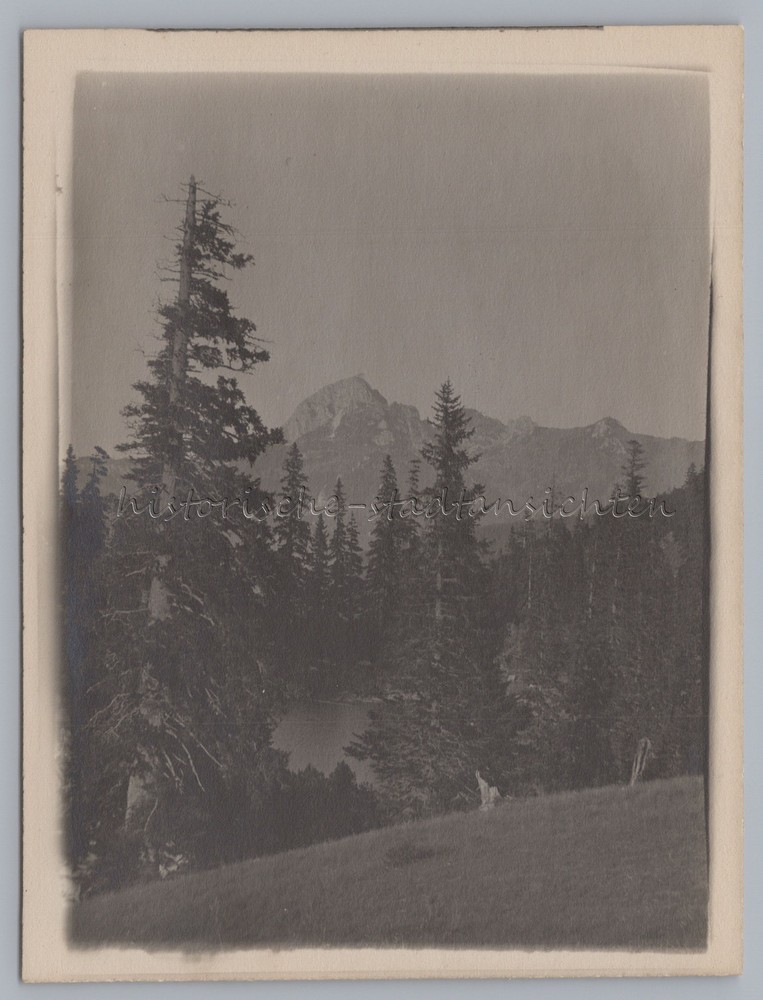 Bayrischzell 1920 – Soinsee with Mießing Mountains Lake – old photo