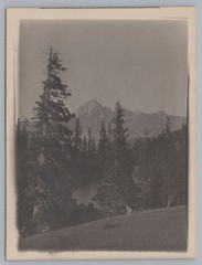 Bayrischzell 1920 – Soinsee with Mießing Mountains Lake – old photo