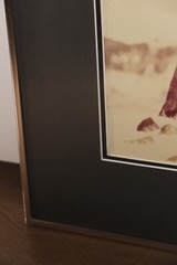 Bighorn Sheep Photograph Framed Wildlife Nature Picture 16″X20″ W. Perry Conway