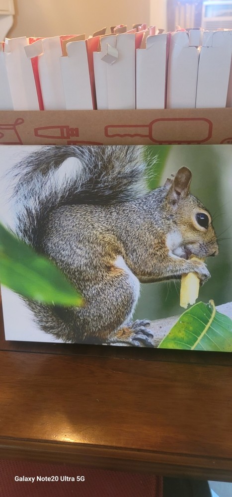 11x14in Canvas Print For Sale