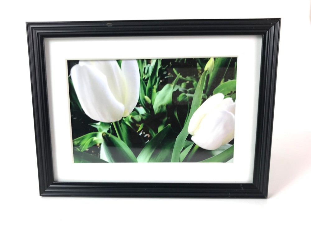 WHITE TULIPS, 4×6 » MATTED AND FRAMED PRINT, READY TO HANG, GREAT GIFT!