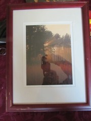 VTG. NICK ZUNGOLI 18 x 13 PHOTOGRAPH OF HARRIMAN PARK, NY – FOREST LIGHT # 2