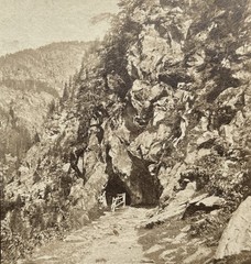 SUISSE Passage De La Tête Noire Landscape Photo C1860 Stereo Vintage Album