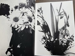 🎈SIGNED w Drawing! Nobuyoshi Araki – HANA-JINSEI, 2002 Japan Limited Ed, Unique