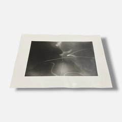 Toni Crabb «FIber 1 (Moths) I» Limited Signed Art Photography Print, 12×17 cm