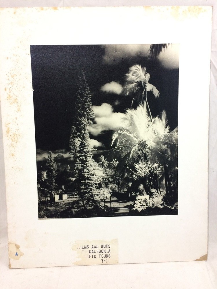 Orig. 1960’s Photograph PATA «Palms & Huts» New Calcedonia 11.5″ x 9.75″