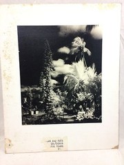 Orig. 1960’s Photograph PATA «Palms & Huts» New Calcedonia 11.5″ x 9.75″