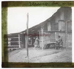 Vietnam Crush The Corn Photo c1910 Plate De Verre n2 Stereo Vintage