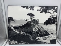 KARL BONFERT handprinted, signed photograph «LONE CYPRESS EVENING” On Wood Frame