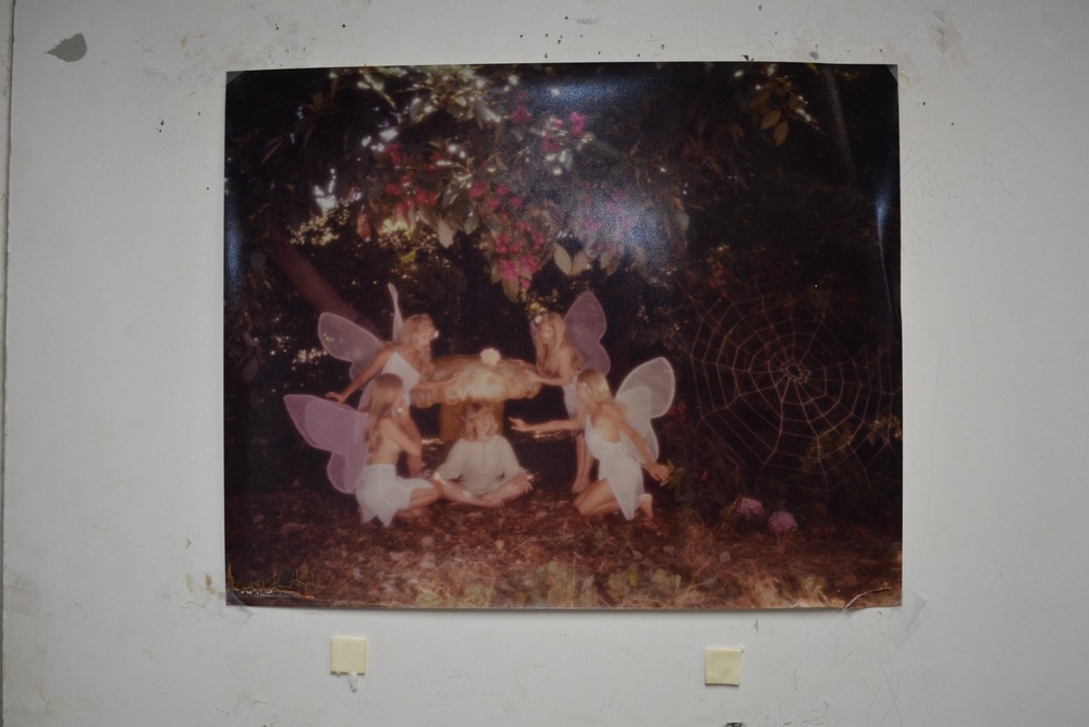 Original ALAN HOUGHTON fine art Photography butterlfys near a spider web 15 X 20
