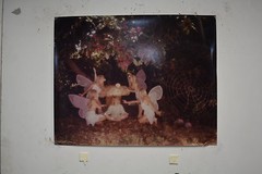 Original ALAN HOUGHTON fine art Photography butterlfys near a spider web 15 X 20