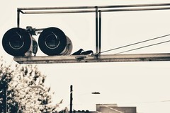 «Birds-Eye-View» Nature Wall Art & Prints