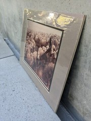 (New-Sealed & Matted) ’84 Erskine Wood Hand Signed «Preaching to the Flock»