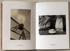 FUNNY PICTURES, snapshot, photo book, anthology