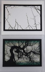 Mike Starn / Structure of Thought 30 8 x 10 LIMITED EDITION ARCHIVAL Signed 1st