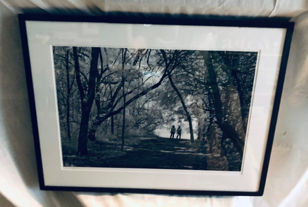 «Into the Woods» by Texas Photographer R. Maines, B&W signed, matt, glass, 1/1