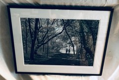 «Into the Woods» by Texas Photographer R. Maines, B&W signed, matt, glass, 1/1