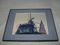 Photograph Of An Osprey and Nest Matted Framed