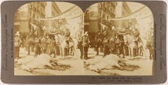 Spain Madrid Horse Injured After An Explosion Photo Stereo Vintage