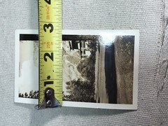 VTG Yosemite photo lot original snapshots lot of 9 retro travels Nature v2828