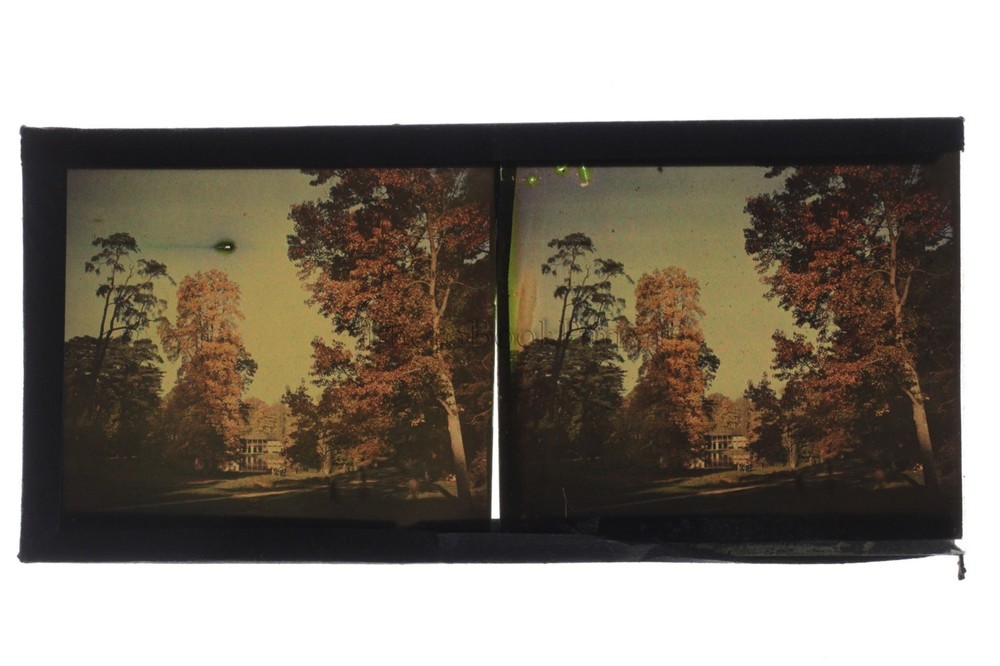 Photograph Autochrome Vintage Landscape Stereo Plate Circa 1910