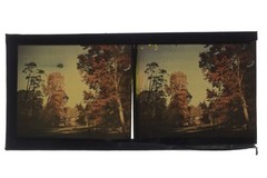 Photograph Autochrome Vintage Landscape Stereo Plate Circa 1910