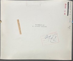 Original A AUBREY BODINE ‘Still Life’ HL MENCKEN Desk Drawer w CIGARS Photograph