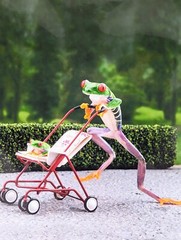 Steven Daniel Adventures Of A Tree Frog Photography Out For A Stroll Nursery Art