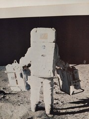 Astronaut Edwin Aldrin Moon Surface NASA Apollo 11 Lunar Photo