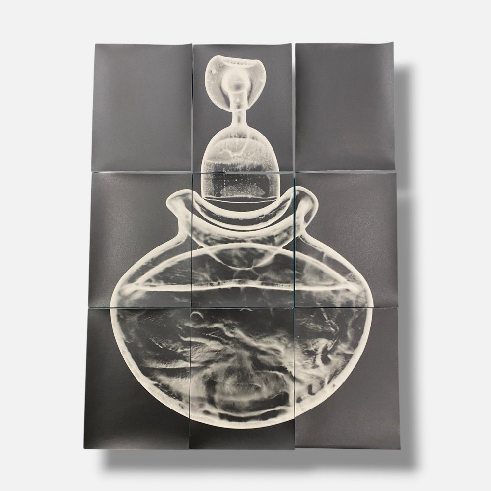 Sylvie Bussières «Sèrie Inutiles de Cristal» Foto No.3 Photogram Mural Wall Art