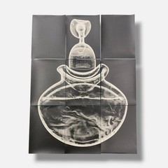 Sylvie Bussières «Sèrie Inutiles de Cristal» Foto No.3 Photogram Mural Wall Art