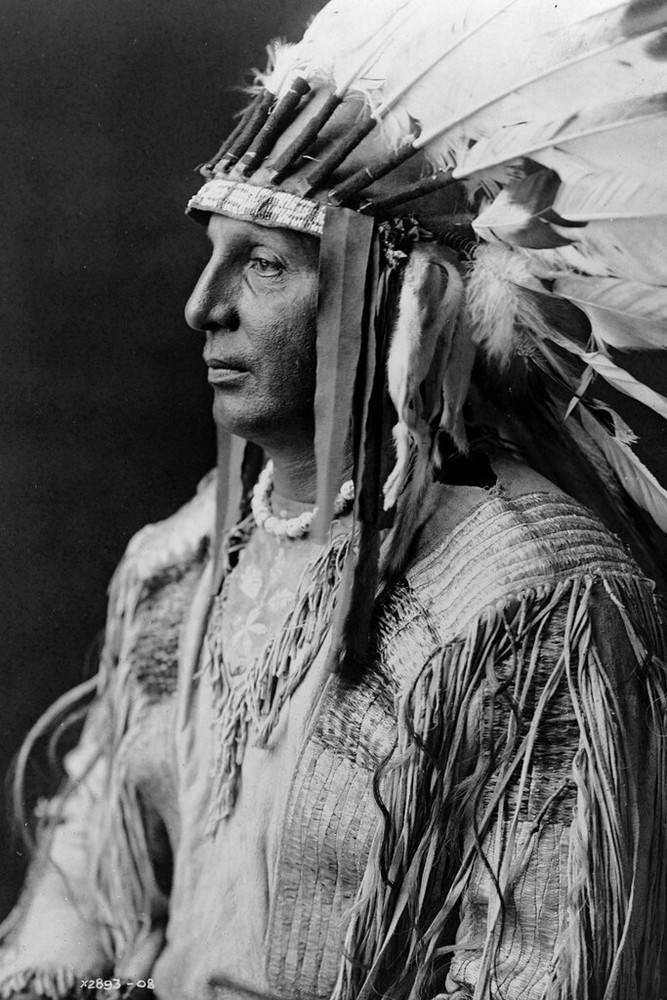 New Photo: White Shield, Arikara Indian Chief and Scout (American) – 6 Sizes!