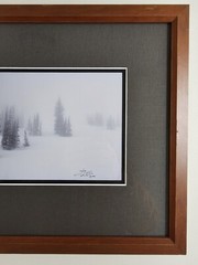 Signed David Whitten Limited Edition 35mm Photograph Print 17.5×14.75 Framed Art