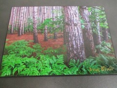 Signed In the Woods Trees Photo on Dura Plaq by Doug Blunt 8×10 (A22)