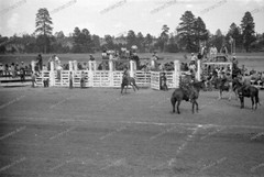 Negative-Rodeo-Festival-Colorado-Mountain-USA-United States of America-1930s-23