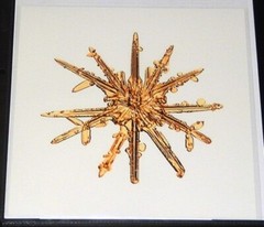 MIKE & DOUG STARN TWINS ‘Sno7,1_016 (Snowflake)’, 2005 SIGNED Photograph **NEW**