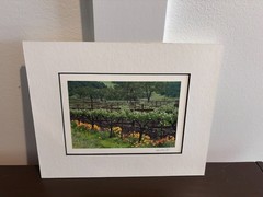 Framed Signed Photograph Sonoma Valley Vineyard by Bob Martin | California Wine