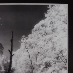 Black Mat Photo Landscape Park Infrared Photography Limited Ed 2/2 Signed Print