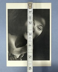 Hedy Lamarr Art Print Card Photo By Laszlo Willinger Fotofolio 4”x6” Algiers