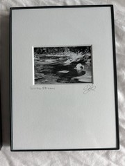 3 Black & White Minimal Modern Framed Photo Art Nature Titled Artist Signed