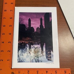 Alan Schein Memories New York Photo Lot NYC Central Park Times Square Flatiron