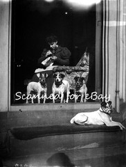 DOGS & WOMAN – 1880s FASHIONS POSSIBLY A SERVANT – LARGE NEGATIVE SOCIAL HISTORY
