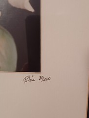 PETE HILL Fine Art Photography «CAROLYN’S Iris» Framed and Matted. Ltd. Edition