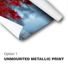 Original Limited Edition Acrylic Mounted Metallic Fine Art Photograph