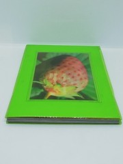 A Piece of Heaven Mika Ninagawa Photo Book Photography