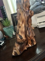 Beautiful Natural Cypress Knee Sculpture