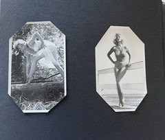 LEGGY BUSTY FETISH GLAMOUR MODELS 54 PHOTOS IN ALBUM 1950s ROSINA REVELLE & MORE
