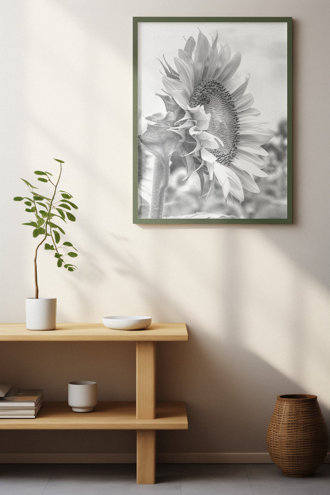 FREE SHIPPINGGiclee 16×20″ Black & White Sunflower Print, Office, Home, Business