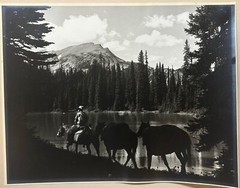 Original HARRY ROWED ‘Morning in the Valley’ Horseback in CANADA Mountains PHOTO