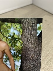 Contemporary Artistic Nude 4×6 Photograph Fine Art Color Print Female Study